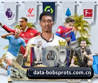 BOB体育app下载 APP 界面